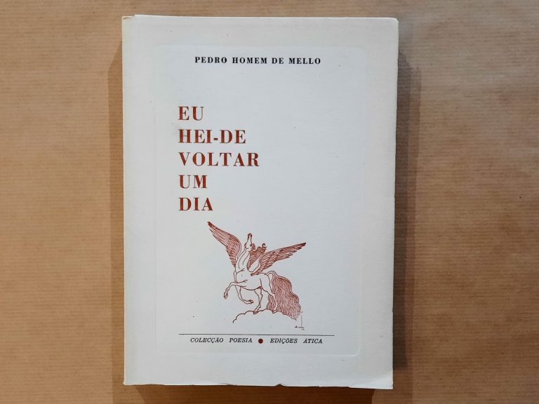 EU HEI-DE VOLTAR UM DIA | Pedro Homem de Mello