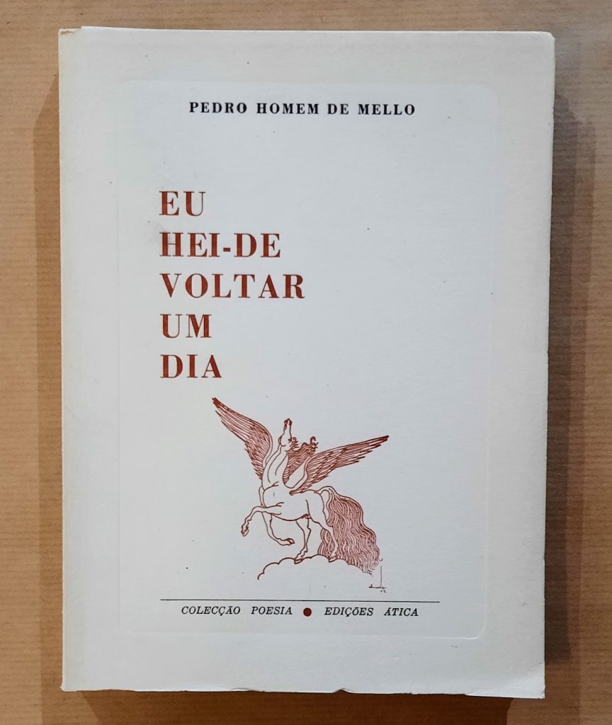 EU HEI-DE VOLTAR UM DIA | Pedro Homem de Mello